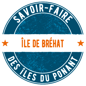 Logo IDP Brehat